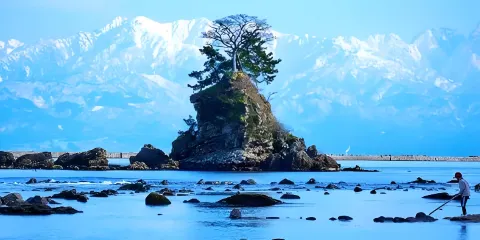 日本名古屋/金澤富山雨晴海岸+玻璃美術館+超美星巴克一日包車