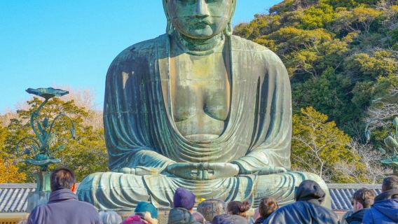 Japan: Guided Tour from Tokyo + Optional Lunch