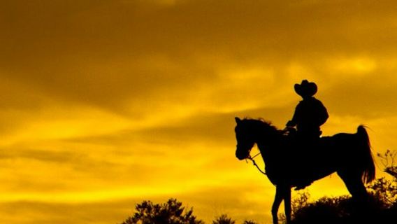 Βόλτα με άλογα στο ηλιοβασίλεμα Wild Wild West + δείπνο