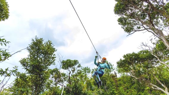 Upplevelse av djungelflykt med zipline i Higashi, norra Okinawa, Japan: 5 spännande rutter