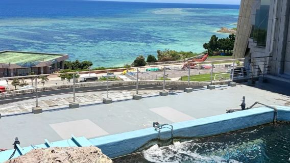 Perjanjian Laut Utara Okinawa | Akuarium Churaumi + Pulau Kouri + Jambatan Kouri (tiket tidak termasuk)