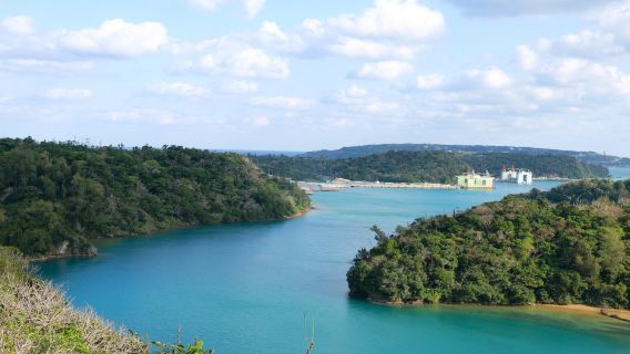 Jepun Okinawa + Manzamou + Pulau Kouri + Churaumi Aquarium [Sewaan peribadi dalam bahasa Cina dengan pengangkutan dari rumah]