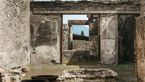 From Rome: Pompeii Day Trip with Optional Vesuvius and Lunch