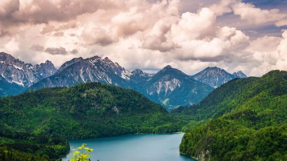 Munich: Neuschwanstein Castle Chinese Day Tour
