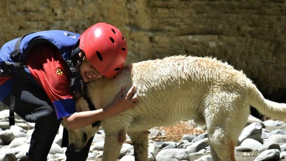 Berat: Osumi Canyon Exploration & Waterfalls with Equipment