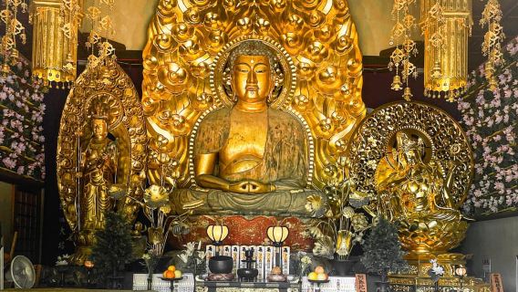 Tokio: Tour de día completo por Kamakura en español - Español