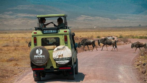 Excursión de un día al cráter de Ngorongoro