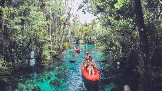 Crystal River: Kayak Rental