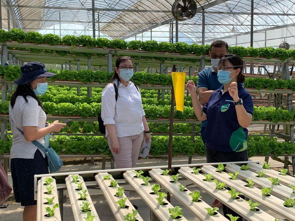 [2022]Kok Fah Technology Farm Tour