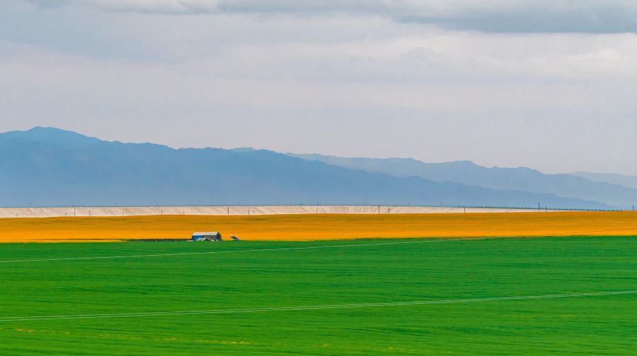 西寧市酒店至青海湖私人來回接送服務