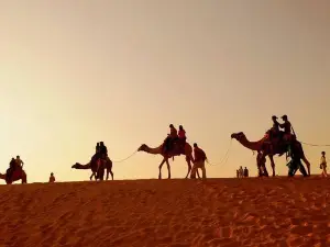 Ajmer Pushkar Same Day Tour with Camel Safari