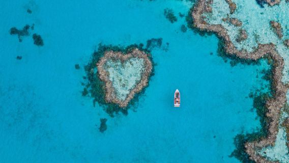 Tour 1 ngày đến Rạn san hô Great Barrier Reef ở Quần đảo Whitsunday, Úc bao gồm lặn với ống thở, có thể khởi hành từ Airlie hoặc Đảo Hamilton