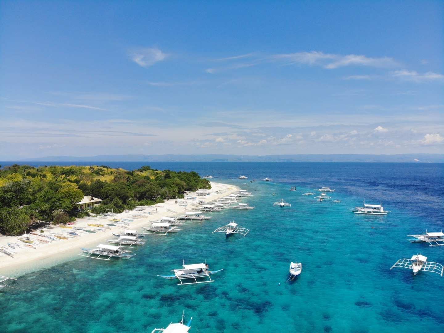 Tour di un giorno all'isola di Bohol nelle Filippine per avvistare i delfini + isola di Balicasag + isola vergine [snorkeling, opzione premium]