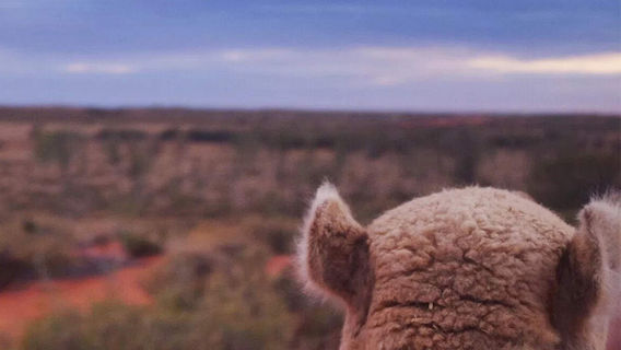 Yulara
