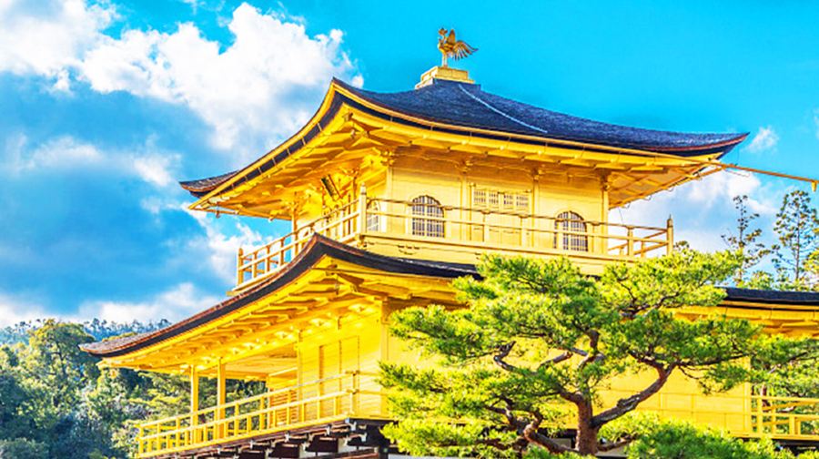 日本京都金閣寺+清水寺+伏見稻荷大社一日遊
