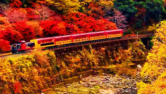 KyotoTours
