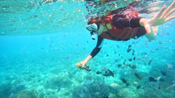 Aventura de esnórquel de medio día en Nha Trang con almuerzo barbacoa