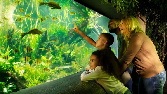 Go City® London Explorer Pass (Including Tower of London/Westminster Abbey/View from the Shard and 90+ Popular Attractions)