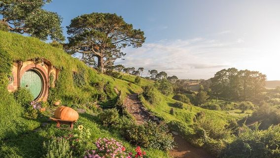 AucklandTours