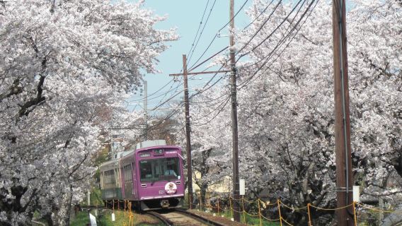 KyotoTransport