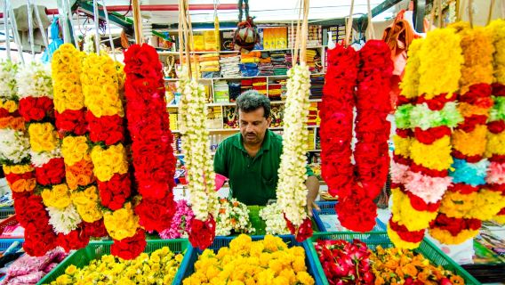 Excursion à la demi-journée à Chinatown de Singapour, Little India et au marché de Tekka