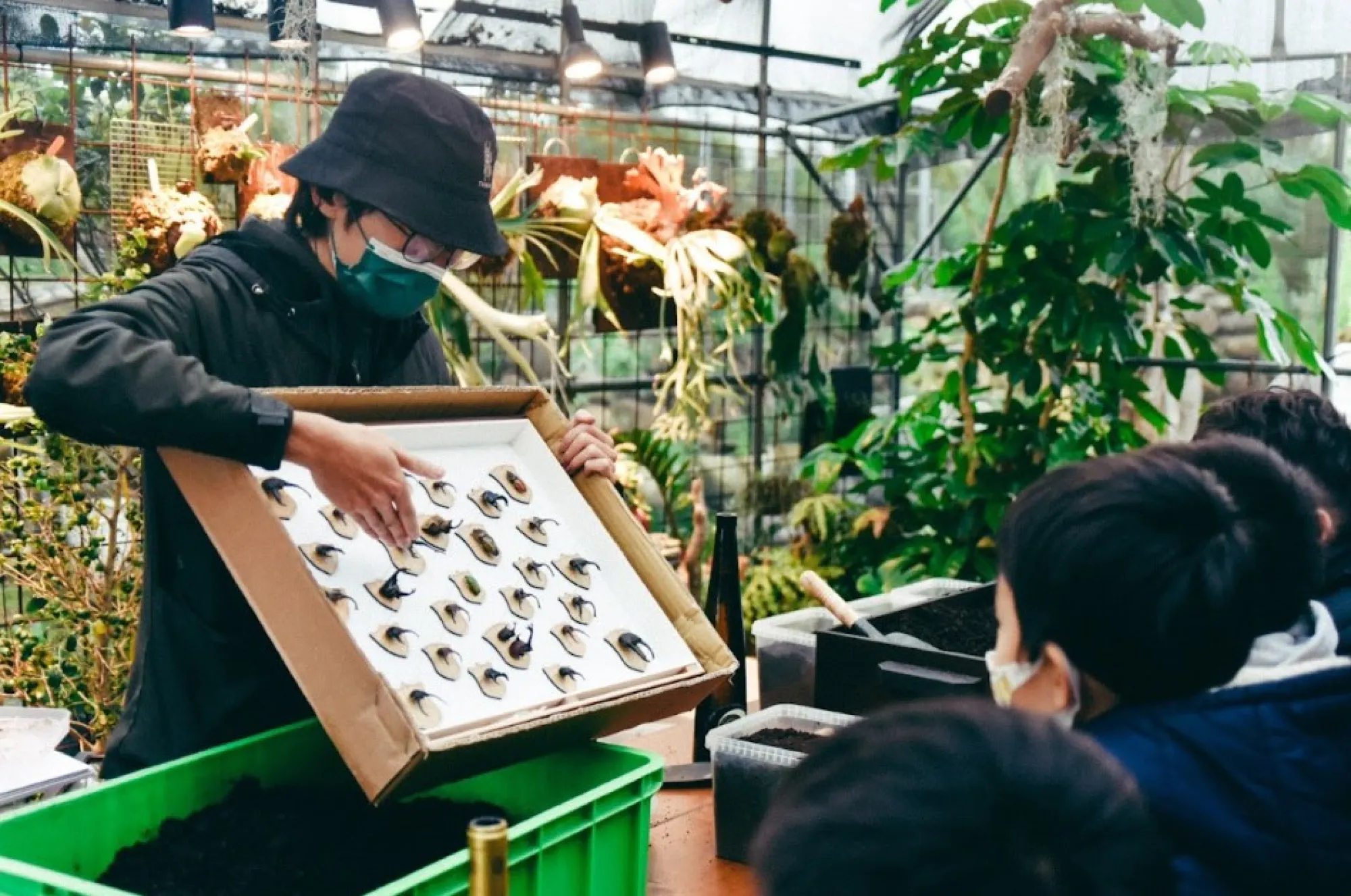 苗栗親子住宿 自然圈農場