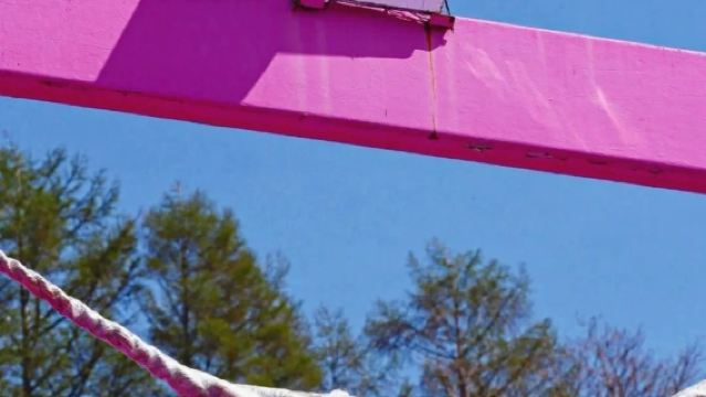 日本札幌出發打卡小樽積丹半島/可登別富良野北海道多日包車精選