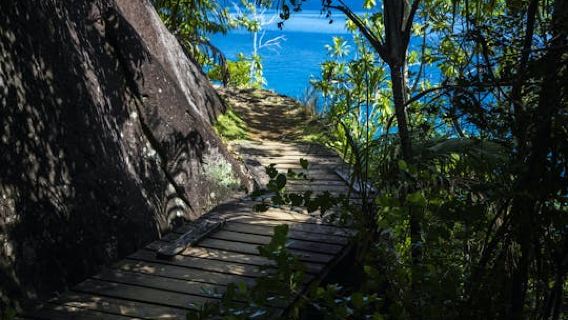 Private Nature Trail Anse Major from Mahé
