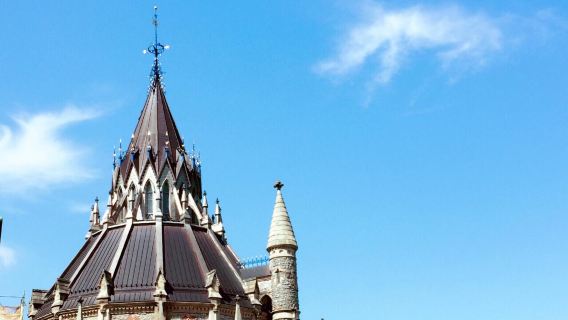 National Gallery + Parliament of Canada + Museum of Natural History + Rideau Falls one-day tour with Chinese and English Service