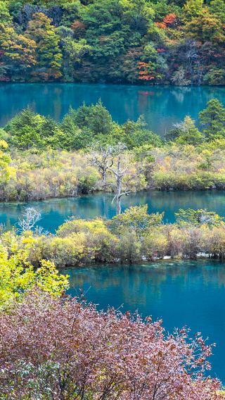 1-day private tour to Jiuzhaigou from Chengdu