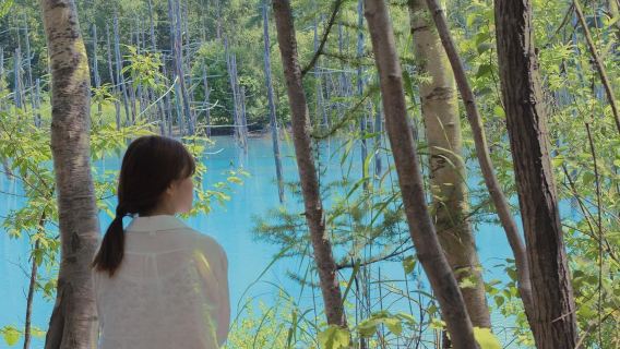 Daxing'anlingTravel Photography