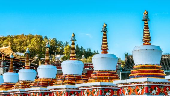 塔爾寺+青海藏文化博物院+日月山