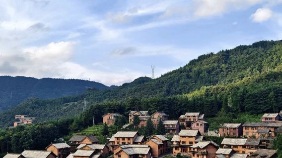 梅花山旅遊區+野玉海旅遊區一日遊/到府接送-無購物-獨立汽車