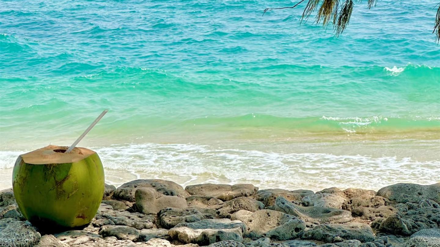 Perjalanan satu hari dengan sewa kendaraan pribadi di Sanya + Pulau Xidao + Tianya Haijiao + pilihan pemandu wisata bahasa asing