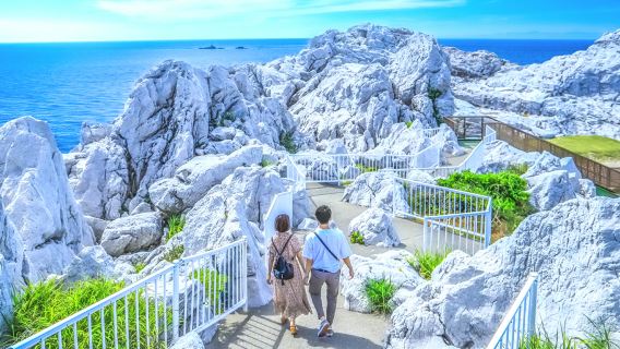 Excursión de un día a Wakayama y Shirarahama, Japón, con coche alquilado|Personaliza libremente tu itinerario|Detenerse y jugar
