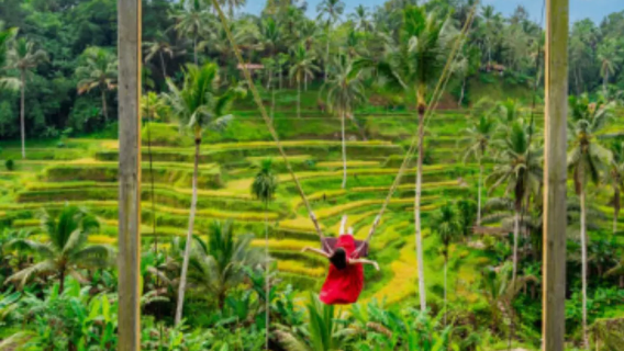 Ubud Music 1 Tag: Kintamani, Heiliger Tempel, Kaffeeverkostung, Reisterrassen und Schaukel, Affenwald
