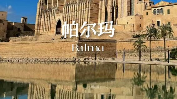 帕爾馬馬洛卡日遊