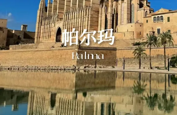 帕爾瑪大教堂＋阿拉伯浴室＋德拉赫洞穴＋帕爾瑪海灘包車一日遊