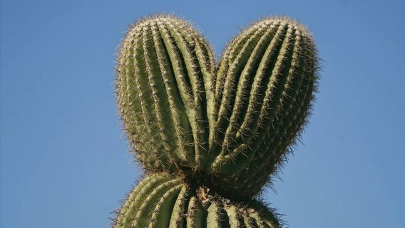 圖姆斯頓日遊
