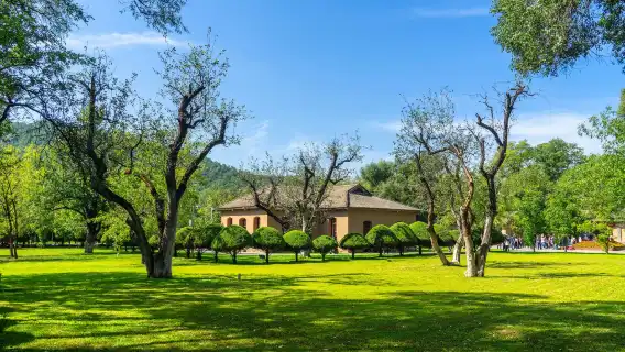 Shaanxi: Revolutionary Red Tour - Yan'an Zaoyuan - Yangjialing - Wangjiaping - Pagoda Mountain Two-Day Tour