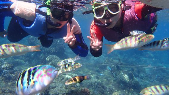 屏東恆春後壁湖體驗潛水浮潛2小時【墾丁南勇潛水中心】