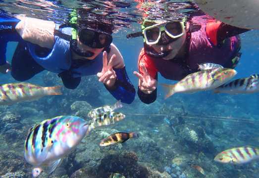 2-Hour Diving and Snorkeling Experience in Houbihu, Pingtung [Kenting Nan Yong Diving Center]