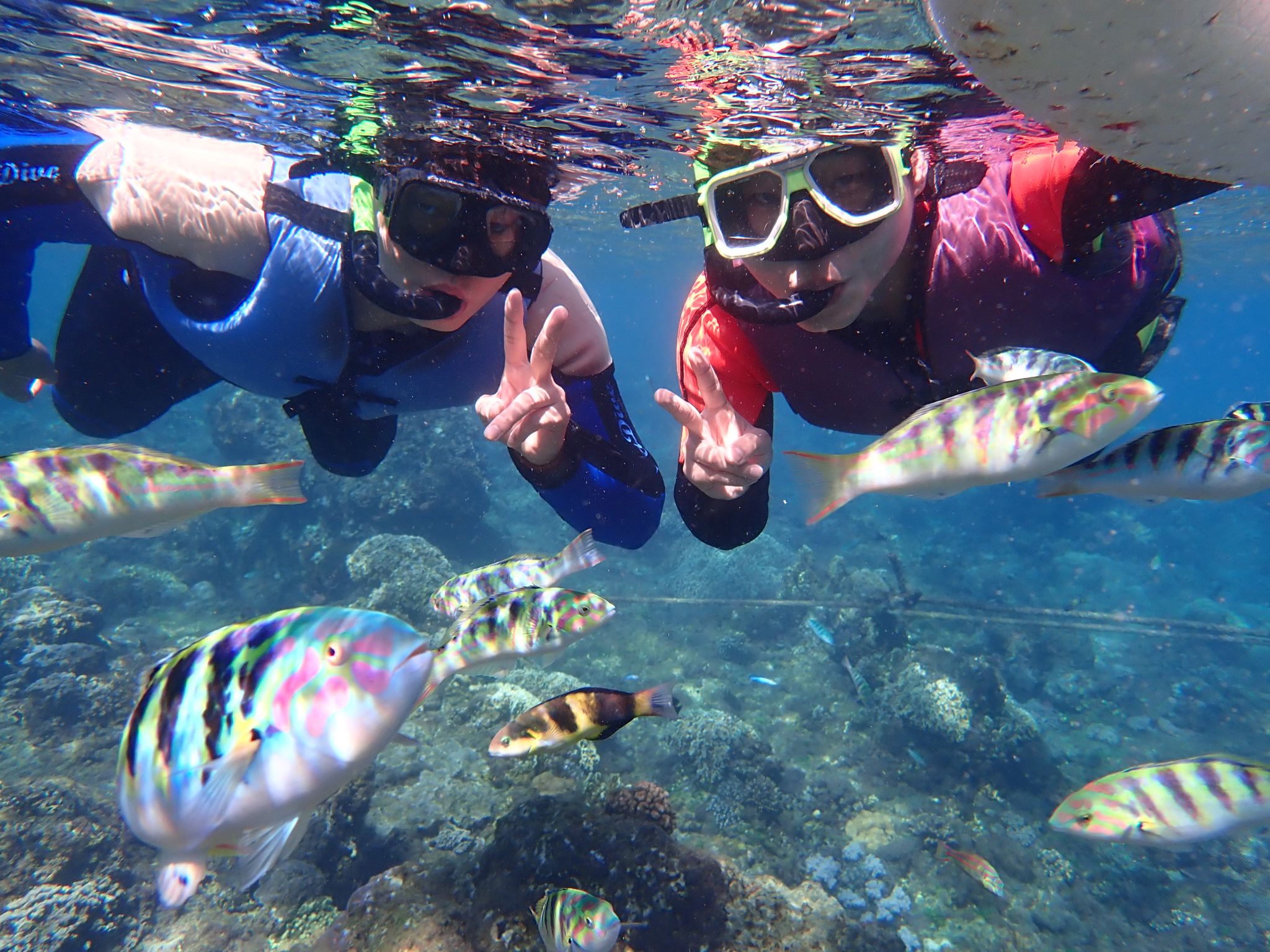 2-Hour Diving and Snorkeling Experience in Houbihu, Pingtung [Kenting Nan Yong Diving Center]