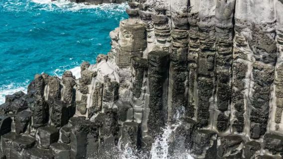 雪綠茶+翰林公園+風車海岸路+挾才海水浴場一日遊【包車團】