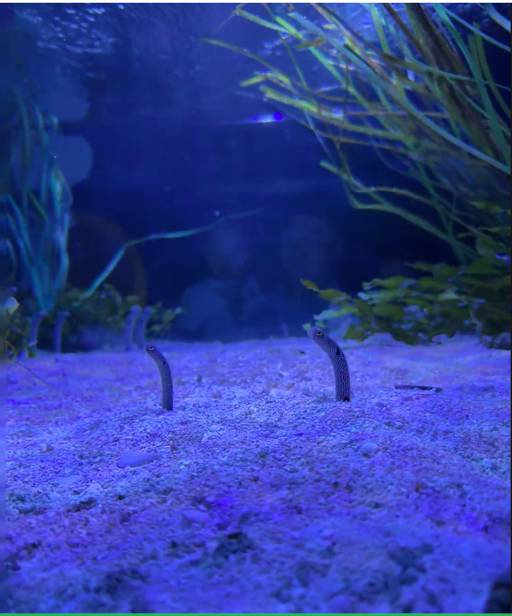 紐約雪城大學+運河博物館+麥克馬洪公園+塞奇莫湖公園一日遊