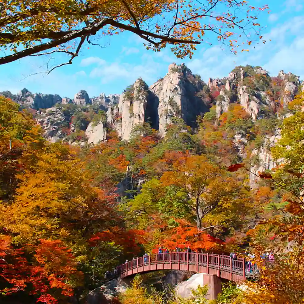 Fall foliage limited edition | Seoraksan national park Seorak