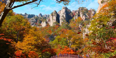 韓國秋季限定|雪嶽山國家公園賞楓+新興寺 一日遊|韓國必訪楓葉名所|首爾出發・專業中/英導遊隨行