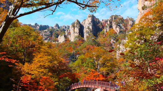 Fall Limited Red Leaves|1-day tour to Seoraksan in Korea + cable car experience