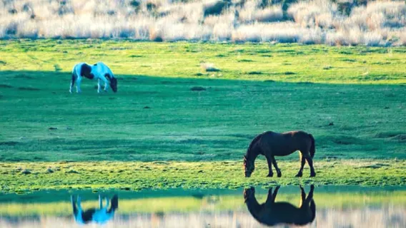 Takachiho Gorge + Aso Volcano Kusasenri 1-day Tour | Optional Beef Lunch Package Including Sightseeing Cruise Ticket