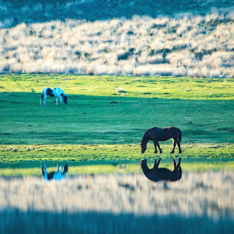 Takachiho Gorge + Aso Volcano Kusasenri 1-day Tour | Optional Beef Lunch Package Including Sightseeing Cruise Ticket
